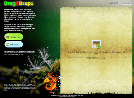 Visit DragNDropz picture host