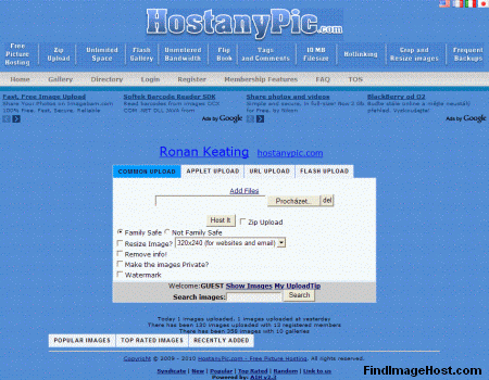 HostanyPic image hosting site