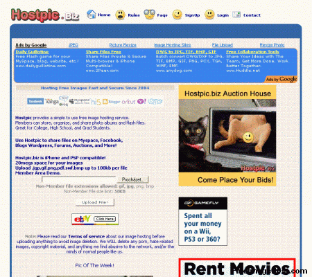 HostPic.biz image hosting site