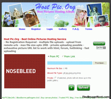 Visit Hostpic.org picture host