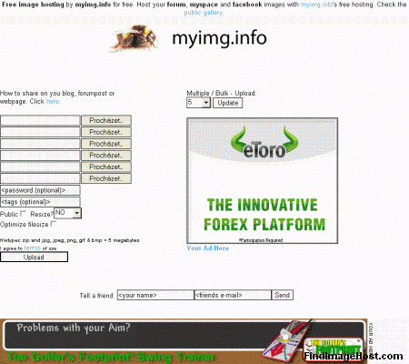 MyImg.info image hosting site