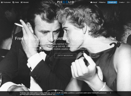 Picoolio.net image hosting site