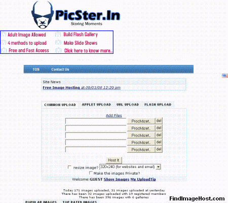PicSter.in image hosting site