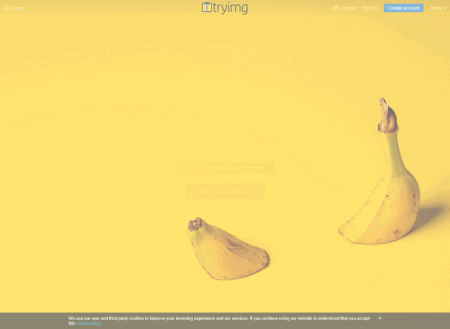 Visit Tryimg picture host